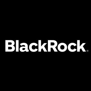 Image for BlackRock Investment Management & Financial Services