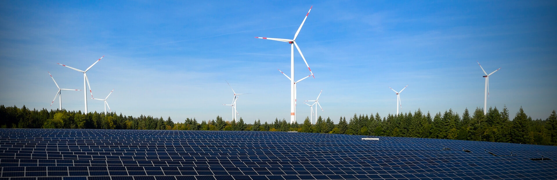 A solar panel field in the foreground with wind turbines towering among green trees under a clear blue sky, highlighting renewable energy sources